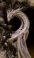 Ivory serpentine creature with a branching crest, open skeletal neck and translucent membranes in Where the Sea Goes Missing by AINATOMIES.